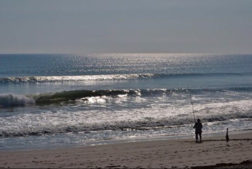 Husband,Father,Grandfather,Surfer.,songwriter, multi media artist.