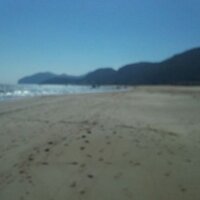 susana (@susanamingo) 's Twitter Profile
