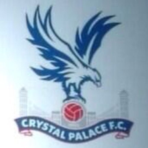 football fan season ticket holder 13/14 14/15 15/16 16/17 17/18 18/19 19/20 Block B lower Holmesdale at crystal palace fc