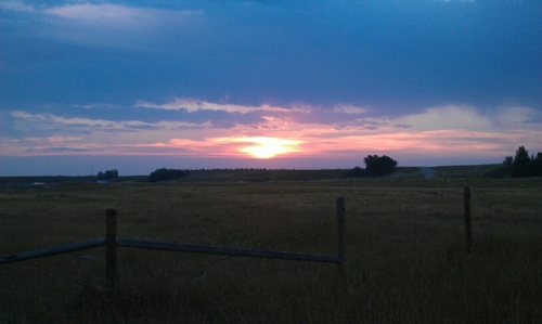 ftemush's profile picture. 