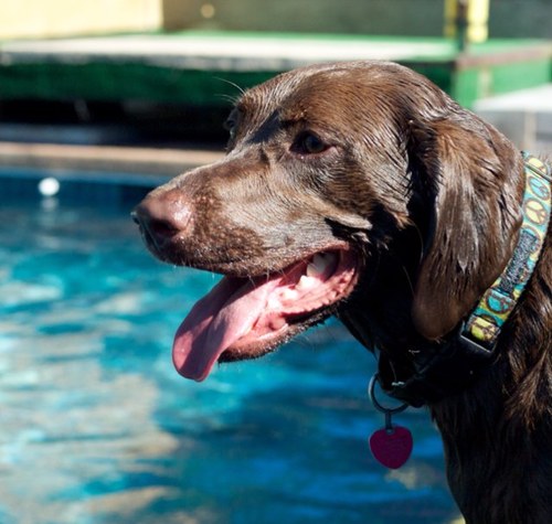 cnoise's profile picture. 