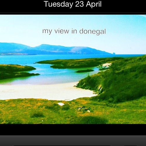 amcalpine918's profile picture. 