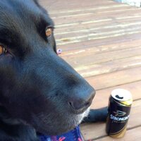 Doc (@mcfc2112) 's Twitter Profile Photo