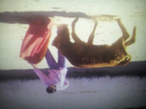 jesuscuerva69's profile picture. 