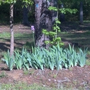 Barbara Carpenter - @BarbieCarpen15 - Twitter