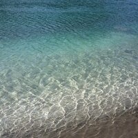 Pablo Murphy (@murphypablo) 's Twitter Profile