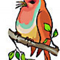 Rockin' Robin (@rockinr42504863) 's Twitter Profile