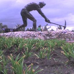 SindicatoD's profile picture. Sindicato nacional de trabajadores de cartón de Colombia creado en 1947