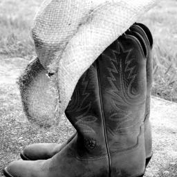 shelbs_1014's profile picture. 