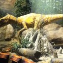 Roger Warrior - @roger_gerth - Twitter