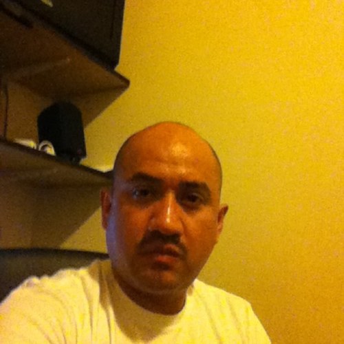 fetechista's profile picture. 