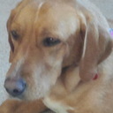 jessica saba-johnson - @SabaJohnson - Twitter