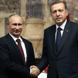 RusosyTurcos's profile picture. Más diferencias que procedencia. 
Cuenta oficial. Contacto:rusosyturcos@gmail.com