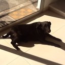 Alan Acuña Ortiz - @alanacunaortiz - Twitter