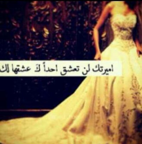 foofh17's profile picture. 