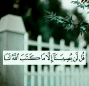 Mum667's profile picture. صدقَه جاريِه لها ، اللهم اجعَل كل مافي هذا الحسَاب لها هيِ .