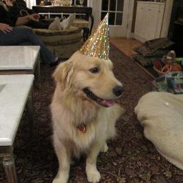 NannyGoatState's profile picture. 