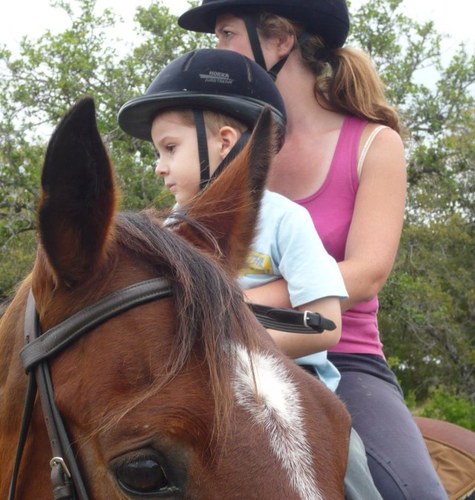 Director of Equine Learning Community Interest Company and The Centaurus Trust charity number 1133212 Therapeutic Horsemanship https://t.co/tvzc4REYyf