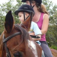 Nicola Hepburn (@equinelearning1) 's Twitter Profile
