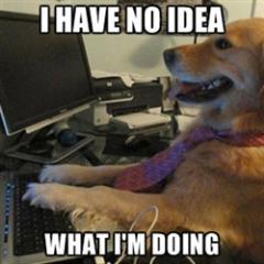 Digital preservation enthusiast and practitioner. Australian, but living in New Zealand.