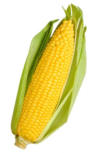 corn_being Profile Picture