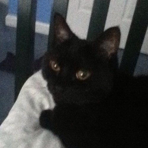 Rest in peace Spooky