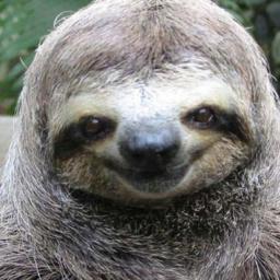 SlothSoftball's profile picture. I am a Sloth. I play Softball. And I am Slutty.
I'm a Slutty Softball playing Sloth. Hello. No Girls 11 Cups Ya Bish.