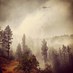 NW Fires Report (@northwestfires) Twitter profile photo