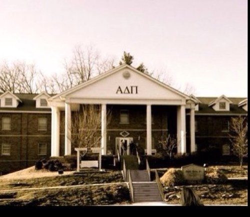 All the reasons #whyiloveadpi!