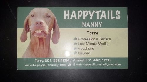 PROFESSIONAL NANNY SERVICE