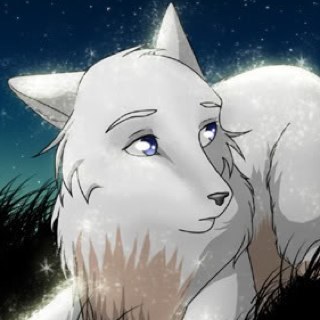 yvrcynt's profile picture. I Am a white female wolf with blue eyes. My name is Vanilla, Dont make me mad or my eyes turn purple and i turn evil .I LOVE snowball fights and Snow.