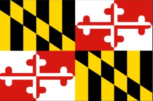 the 410