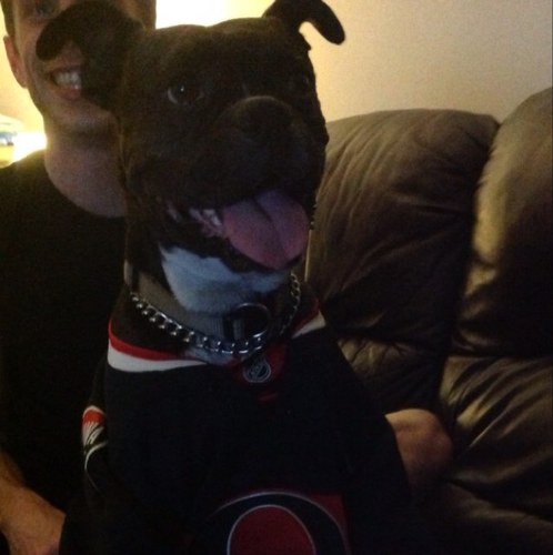 josekurr's profile picture. Sens fan for life! No more lockouts!