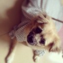 Sam Kwan - @gtagcgc - Twitter