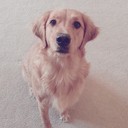 yerim kim - @yr0512 - Twitter