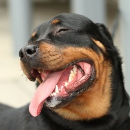 iDavid_10's profile picture. 