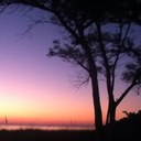 annie conner - @rednsazzie - Twitter