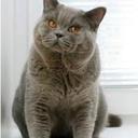 Matt Alonzo - @kraynov_a - Twitter