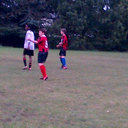 Cam Fox - @crummybear - Twitter