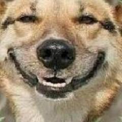 Sou pastor , vendo jequiti quando da tempo. Dono: @CitouTwitteiro  GOSTOU DOS TWEETS DA #RT
Brasil