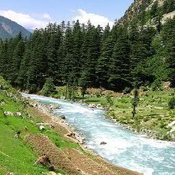 SabirPiyaa's profile picture. 