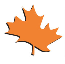 gossipdipper's profile picture. ready4more?