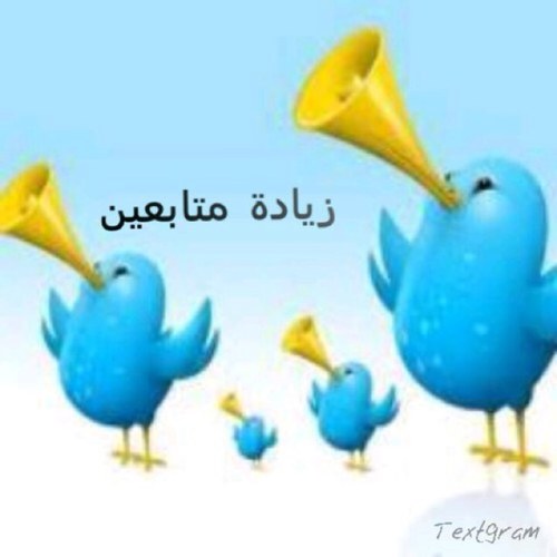 زياادة متابعينك بتويتر بشكل يومي