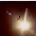 Rosa Maria Castells - @RosaMariaCaste3 - Twitter