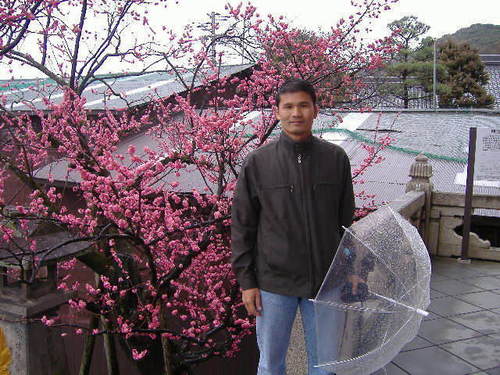 limdarastars's profile picture. 