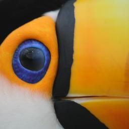 FX、WordPress、ネットワークに関する様々な情報をシェアしていきます。つぶやきの中に皆さんの役に立つような情報があるかもしれません。フォローお願いします。