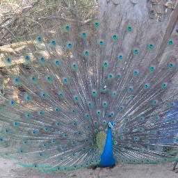 kalavinaysamuel's profile picture. 