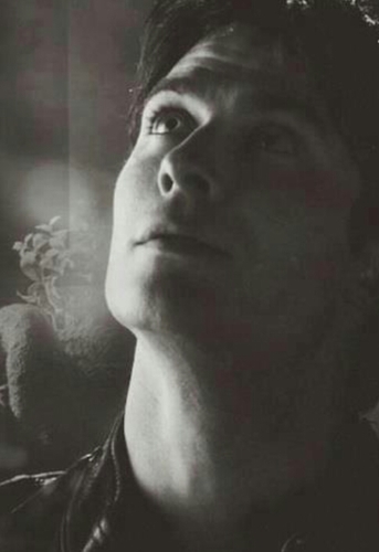 EternallySired's profile picture. 