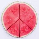 Anna Andreeva - @oh_shit_oh - Twitter