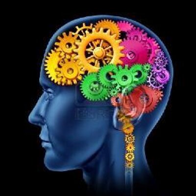 MINDS